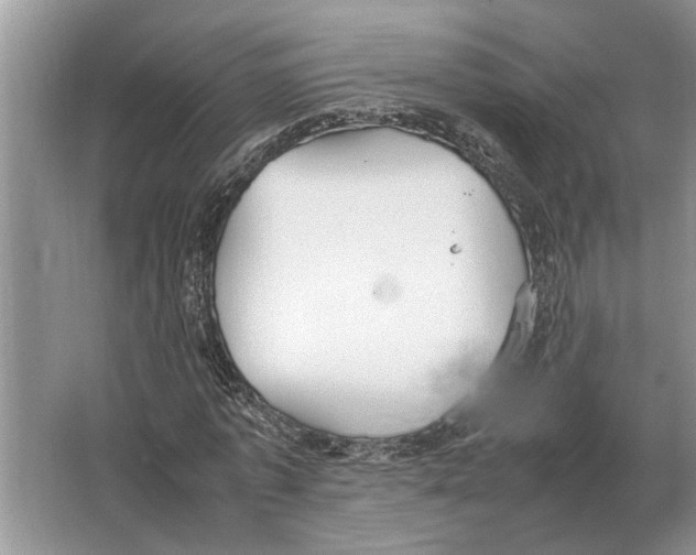 X0000064770773200603031824