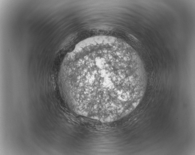 X0000064770774200603031824