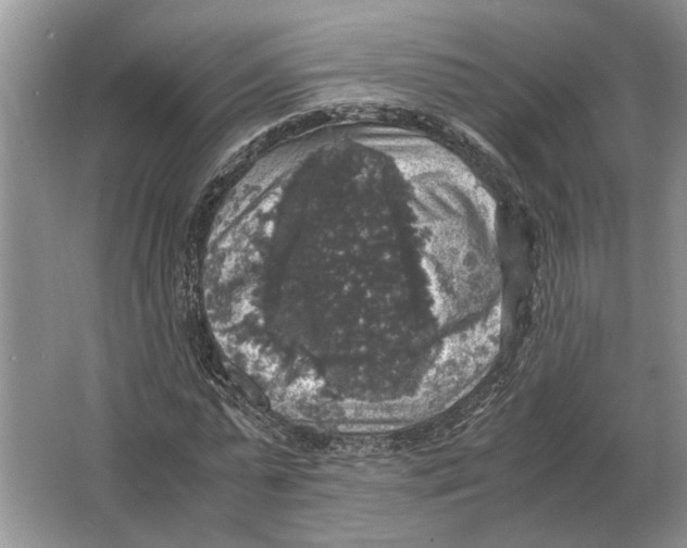 X0000064770775200603031824