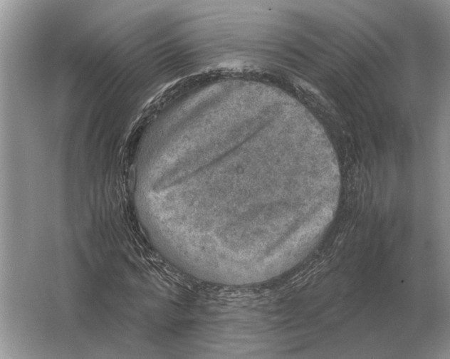 X0000064770776200603031824