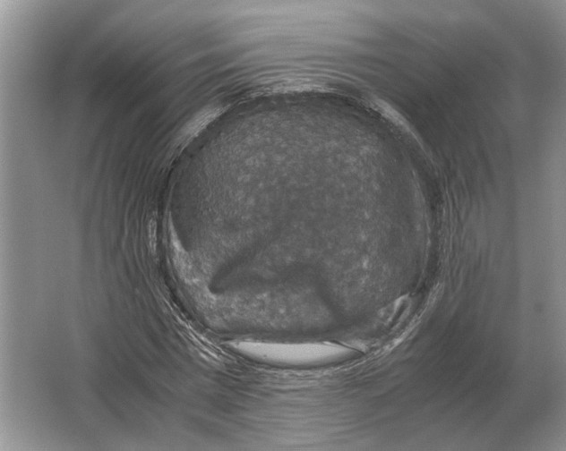 X0000064770777200603031824