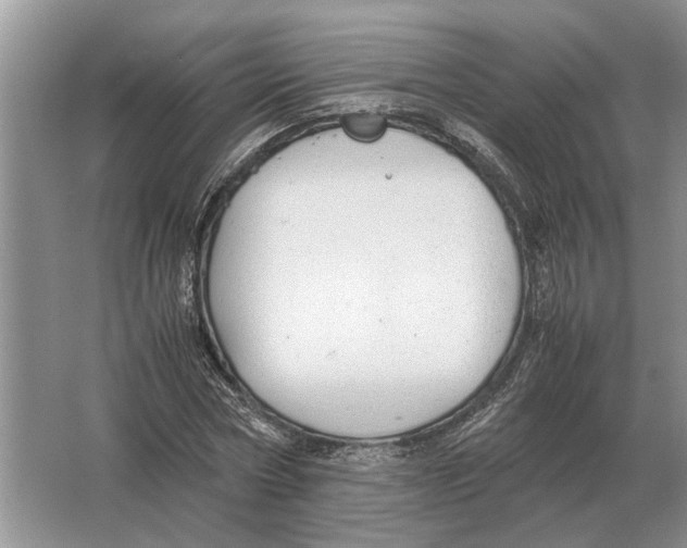 X0000064770778200603031824