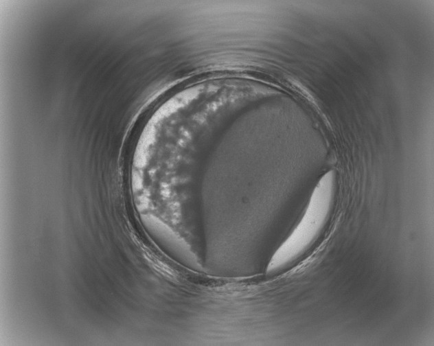 X0000064770779200603031824