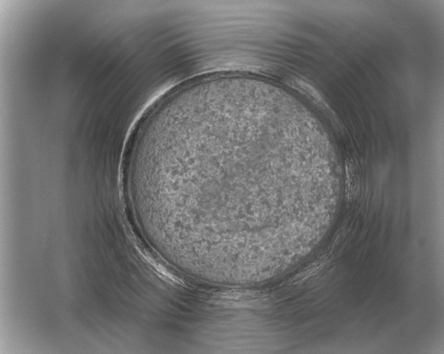 X0000064770780200603031824