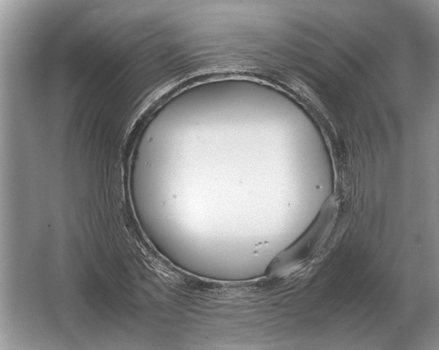 X0000064770781200603031824