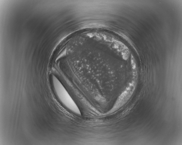 X0000064770783200603031824