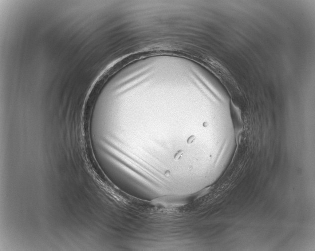 X0000064770784200603031824