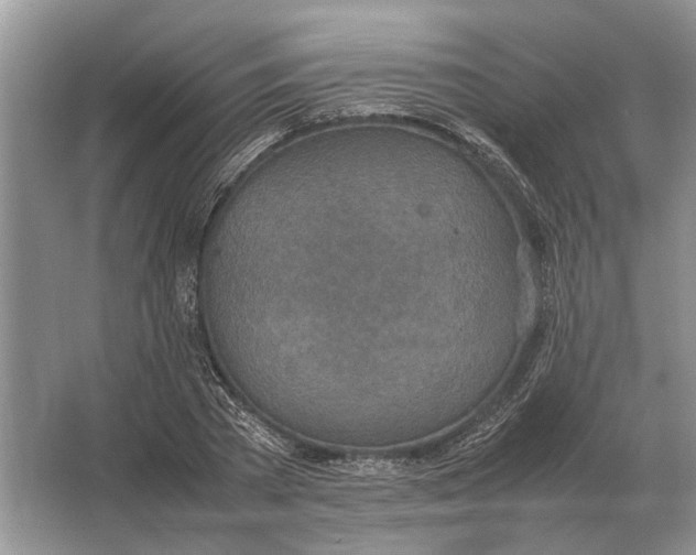 X0000064770785200603031824