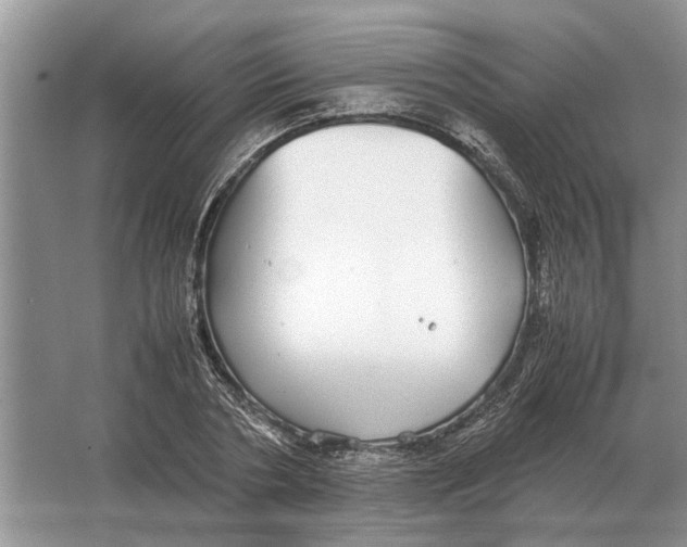 X0000064770786200603031824