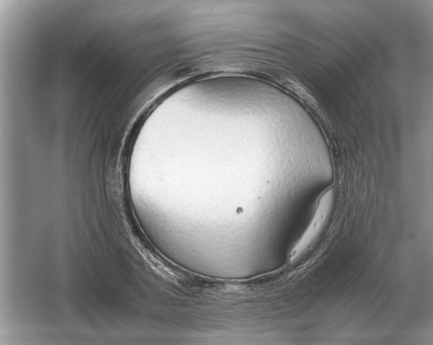 X0000064770787200603031824