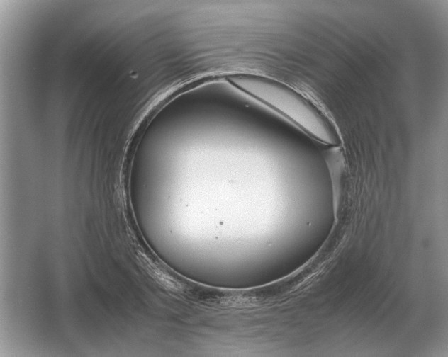 X0000064770789200603031824