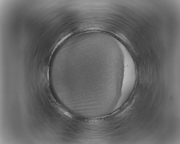 X0000064770790200603031824