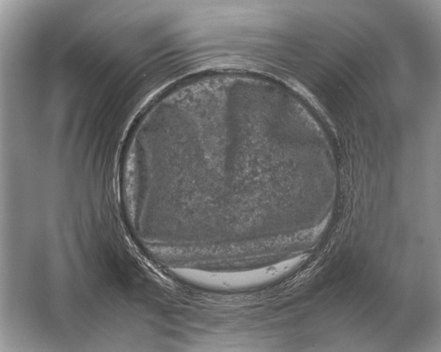 X0000064770791200603031824