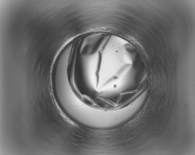 X0000064770792200603031824