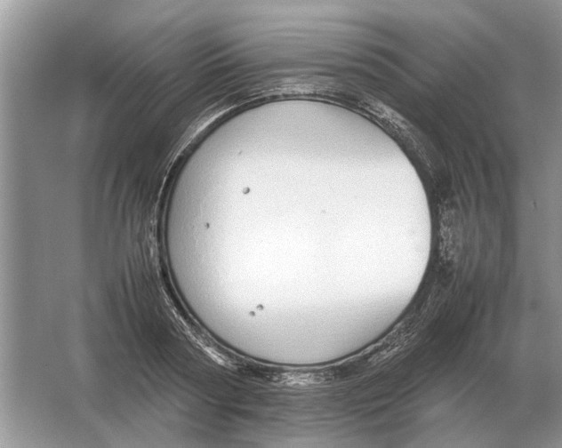 X0000064770794200603031824