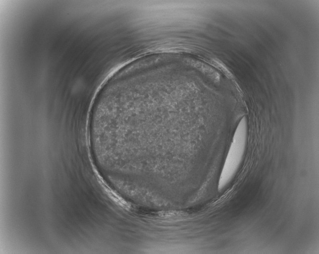 X0000064770795200603031824