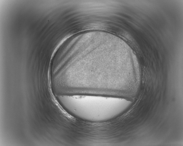 X0000064770796200603031824