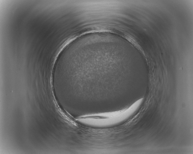 X0000064770797200603031824