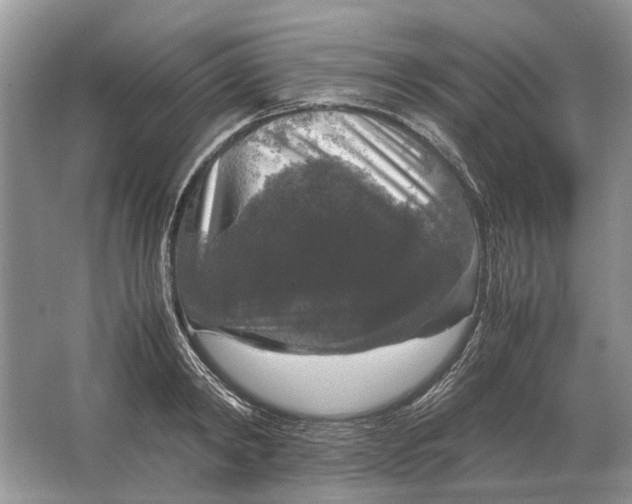 X0000064770798200603031824