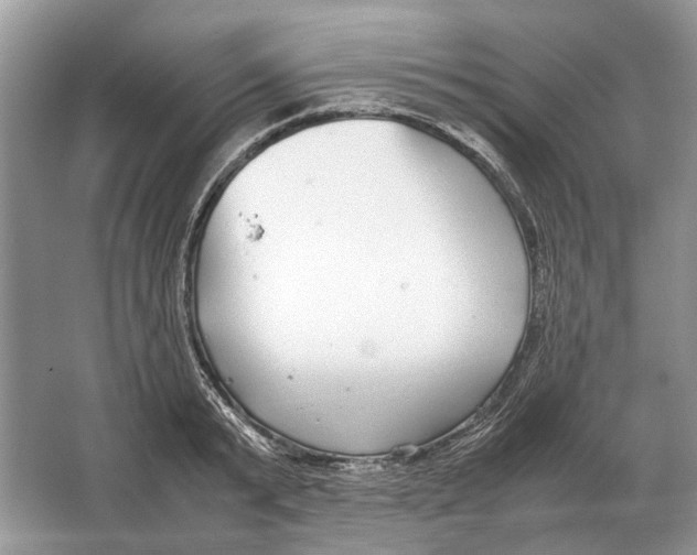 X0000064770799200603031824