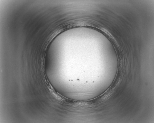 X0000064770801200603031824