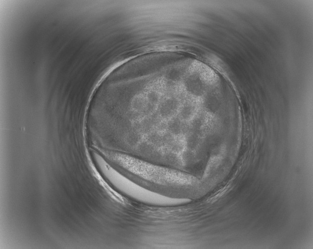 X0000064770803200603031824