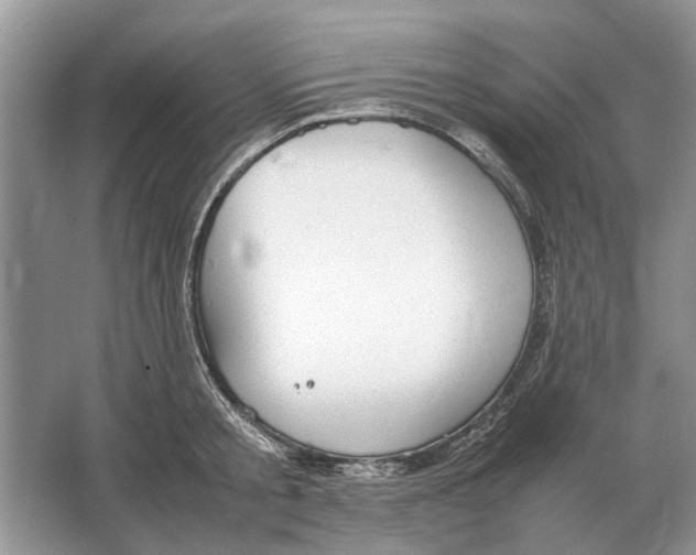 X0000064770805200603031824