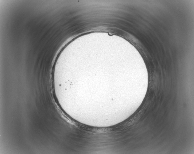 X0000064770808200603031824