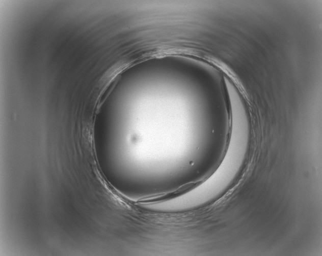 X0000064770809200603031824