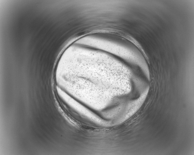 X0000064770811200603031824