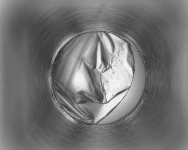 X0000064770812200603031824