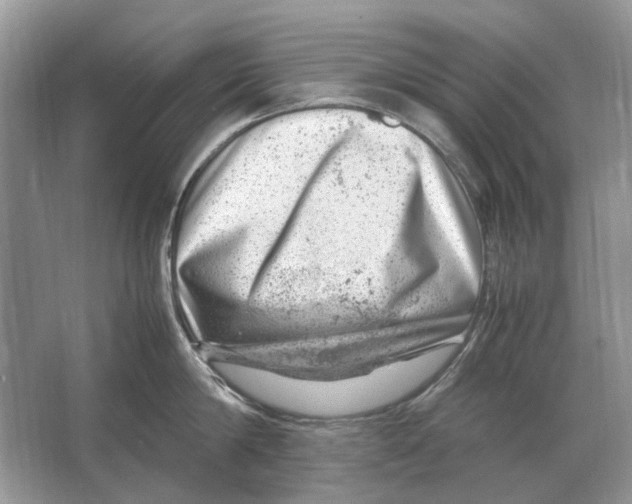 X0000064770814200603031824