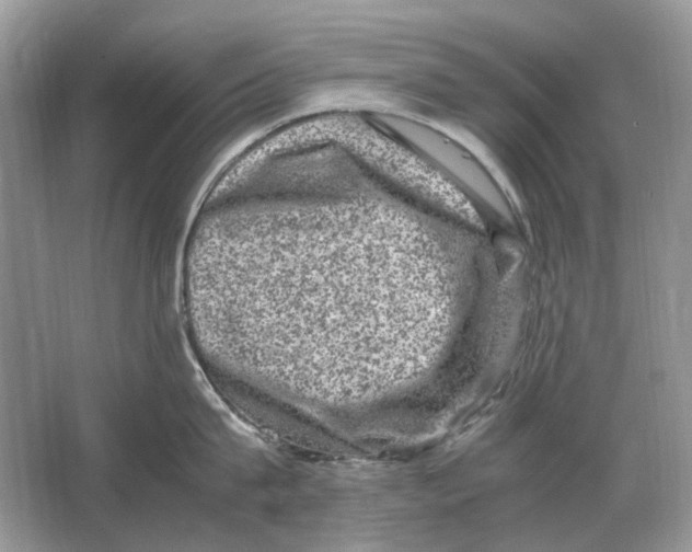 X0000064770815200603031824