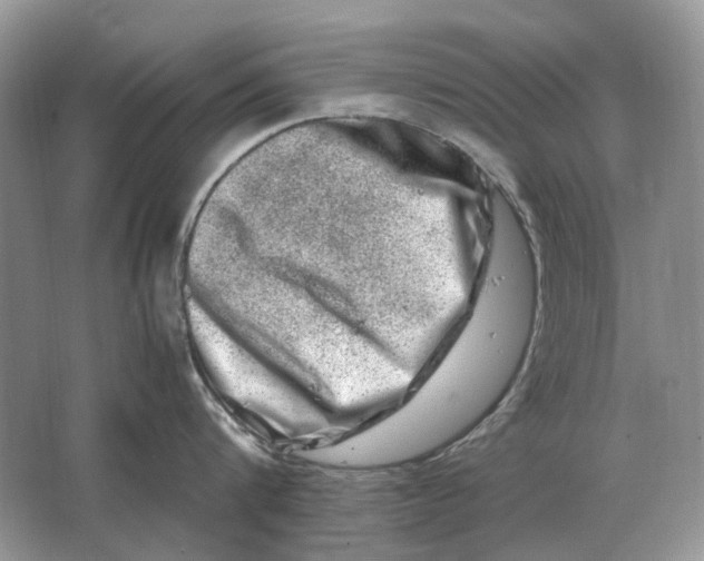 X0000064770816200603031824