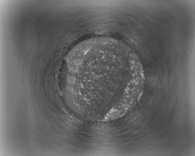 X0000064770817200603031823