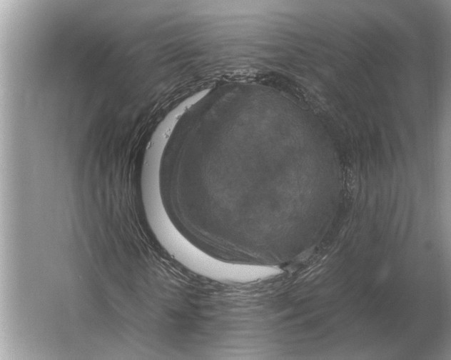 X0000064770818200603031823