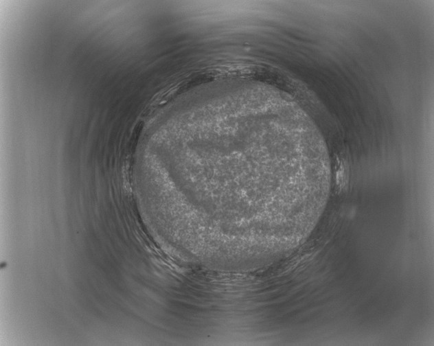 X0000064770819200603031823