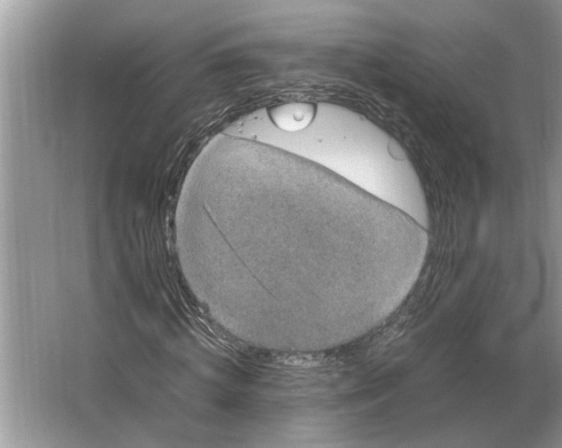 X0000064770820200603031823