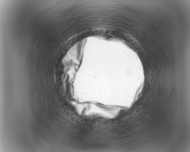 X0000064770821200603031823