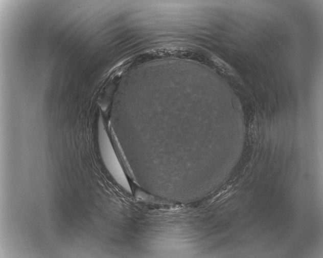 X0000064770822200603031823