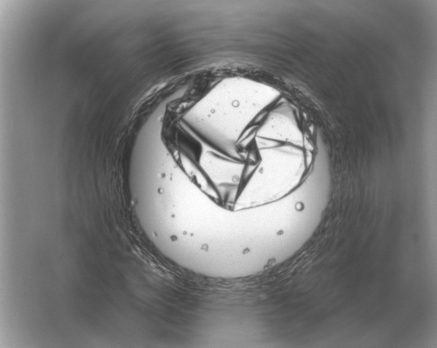 X0000064770824200603031823