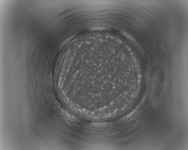 X0000064770825200603031823