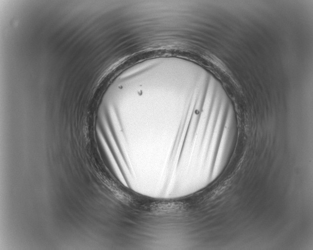 X0000064770826200603031823