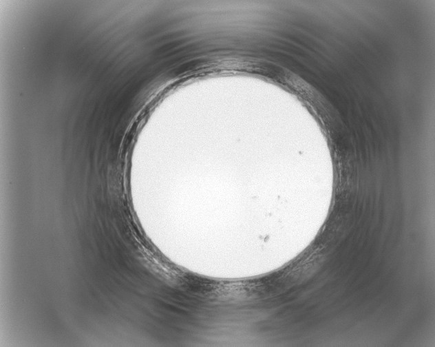 X0000064770828200603031823