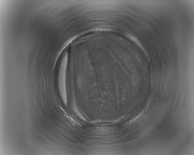 X0000064770829200603031823