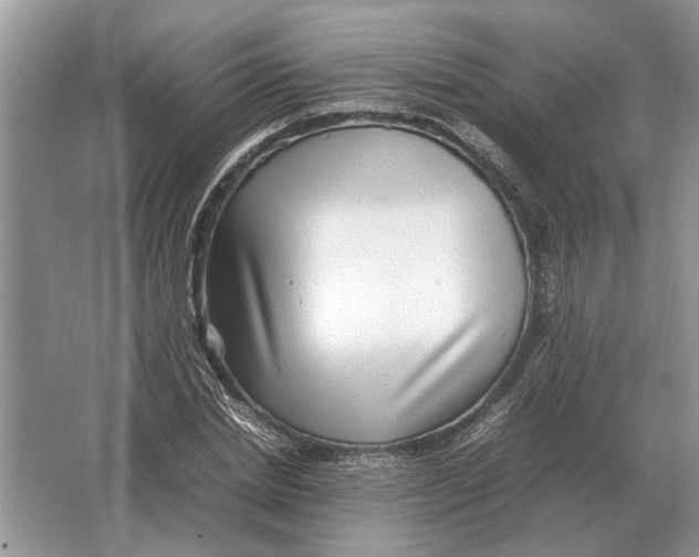 X0000064770830200603031823