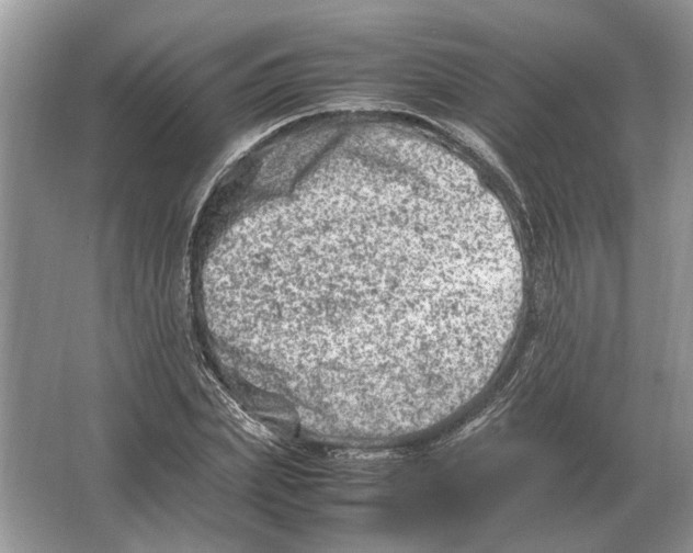 X0000064770831200603031823