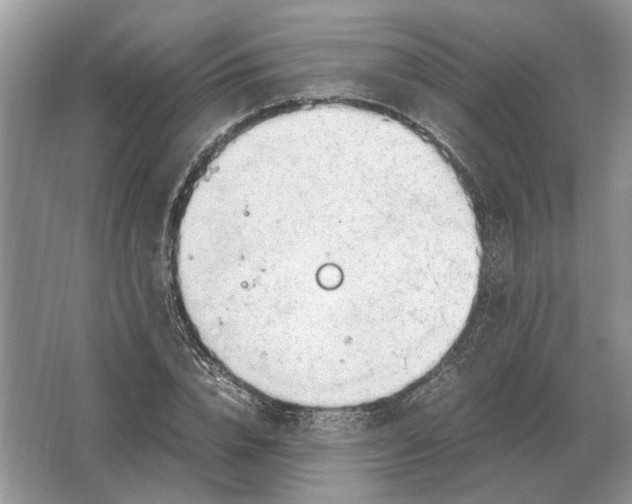 X0000064770832200603031823