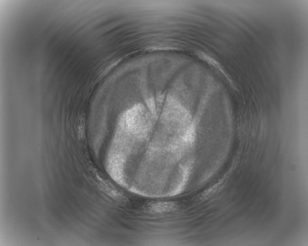 X0000064770833200603031823