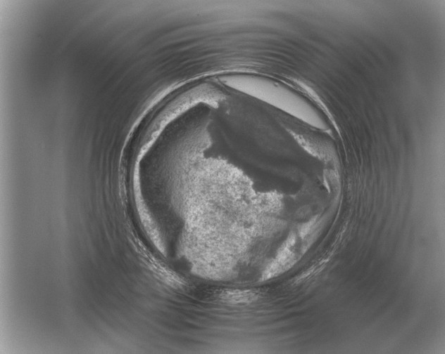 X0000064770835200603031823